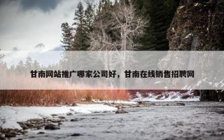 甘南网站推广哪家公司好，甘南在线销售招聘网