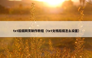 txt后缀网页制作教程（txt文档后缀怎么设置）