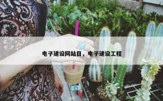电子建设网站目，电子建设工程