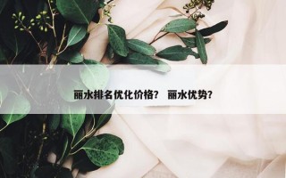 丽水排名优化价格？ 丽水优势？