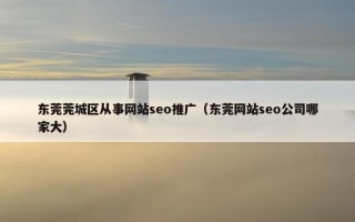 东莞莞城区从事网站seo推广（东莞网站seo公司哪家大）