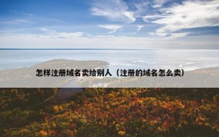 怎样注册域名卖给别人（注册的域名怎么卖）