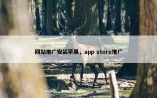 网站推广安装苹果，app store推广