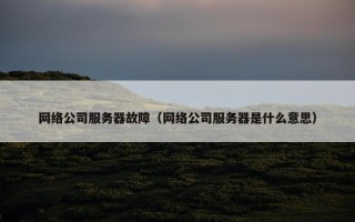 网络公司服务器故障（网络公司服务器是什么意思）