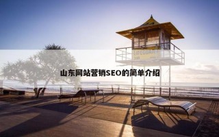 山东网站营销SEO的简单介绍