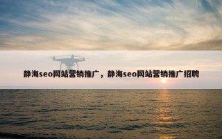 静海seo网站营销推广，静海seo网站营销推广招聘
