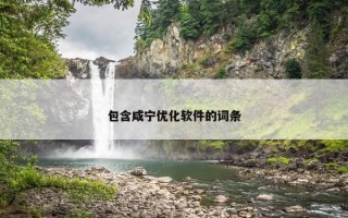 包含咸宁优化软件的词条