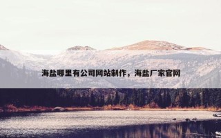 海盐哪里有公司网站制作，海盐厂家官网