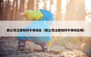 新公司注册如何不带域名（新公司注册如何不带域名呢）