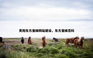 贵阳东方蜜蜂网站建设，东方蜜蜂百科