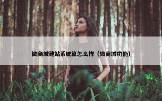 微商城建站系统算怎么样（微商城功能）