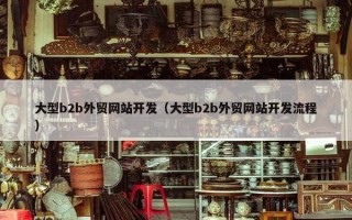大型b2b外贸网站开发（大型b2b外贸网站开发流程）