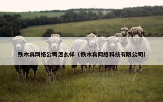 铁木真网络公司怎么样（铁木真网络科技有限公司）