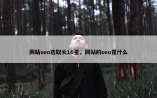 网站seo选取火10星，网站的seo是什么