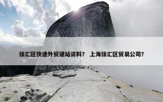 徐汇区快速外贸建站资料？ 上海徐汇区贸易公司？