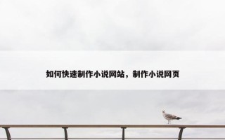 如何快速制作小说网站，制作小说网页