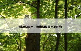 微建站哪个，微建站是哪个平台的
