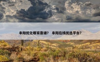 阜阳优化哪家靠谱？ 阜阳在线优选平台？
