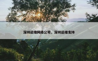深圳运维网络公司，深圳运维支持