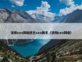 沈阳seo网站优化seo新手（沈阳seo网络）