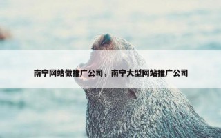 南宁网站做推广公司，南宁大型网站推广公司