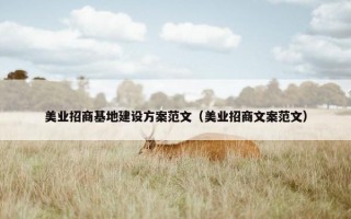 美业招商基地建设方案范文（美业招商文案范文）