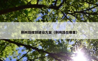 荆州路规划建设方案（荆州路在哪里）