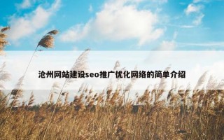 沧州网站建设seo推广优化网络的简单介绍
