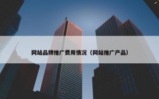 网站品牌推广费用情况（网站推广产品）