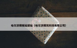 哈尔滨模板站建站（哈尔滨模筑科技有限公司）