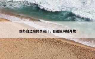 国外自适应网页设计，自适应网站开发