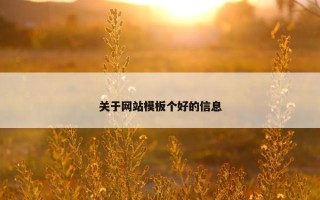 关于网站模板个好的信息