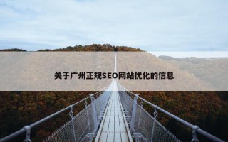 关于广州正规SEO网站优化的信息