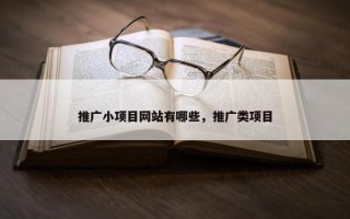 推广小项目网站有哪些，推广类项目
