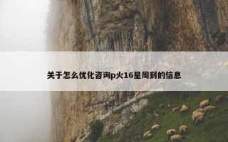 关于怎么优化咨询p火16星周到的信息