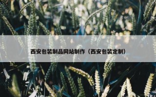 西安包装制品网站制作（西安包装定制）