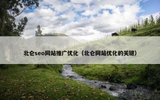 北仑seo网站推广优化（北仑网站优化的关键）