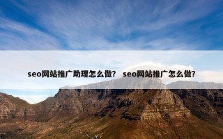 seo网站推广助理怎么做？ seo网站推广怎么做？