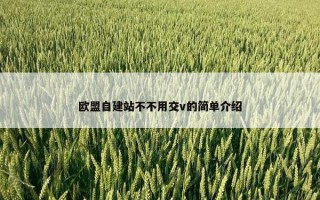 欧盟自建站不不用交v的简单介绍