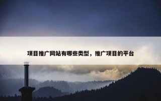 项目推广网站有哪些类型，推广项目的平台