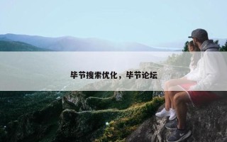 毕节搜索优化，毕节论坛