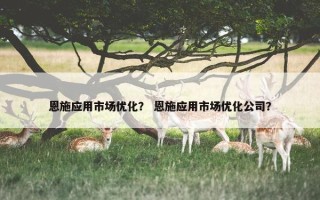 恩施应用市场优化？ 恩施应用市场优化公司？