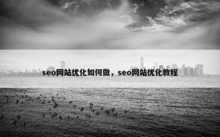 seo网站优化如何做，seo网站优化教程