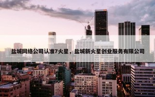 盐城网络公司认准7火星，盐城新火星创业服务有限公司