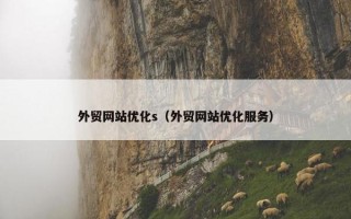 外贸网站优化s（外贸网站优化服务）