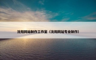 沈阳网站制作工作室（沈阳网站专业制作）