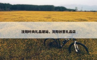 沈阳时尚礼品建站，沈阳创意礼品店