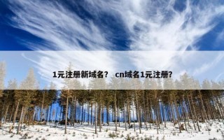 1元注册新域名？ cn域名1元注册？