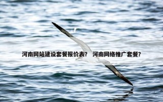河南网站建设套餐报价表？ 河南网络推广套餐？