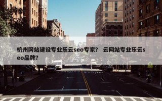 杭州网站建设专业乐云seo专家？ 云网站专业乐云seo品牌？
